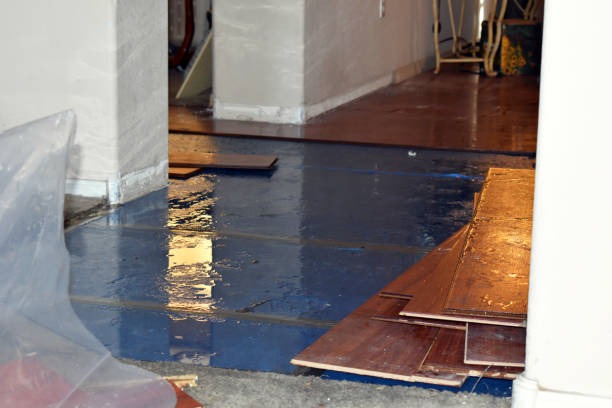 Professional Basement Flood Cleanup technician working in Lone Tree, CO